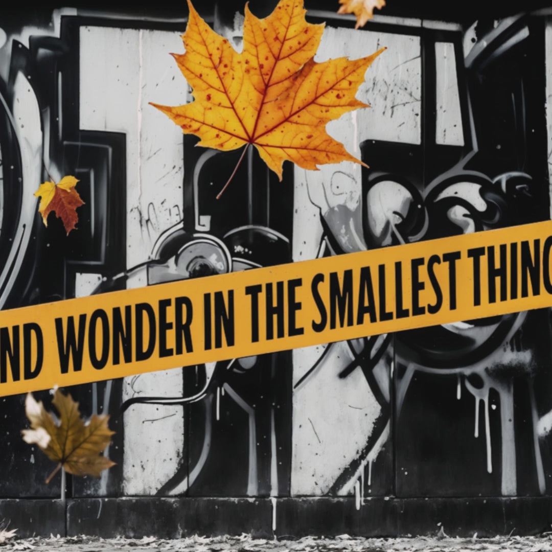 Video showcasing a close-up view of urban graffiti art with vibrant autumn leaves and the text "Find Wonder in the Smallest Things," ideal for modern décor.